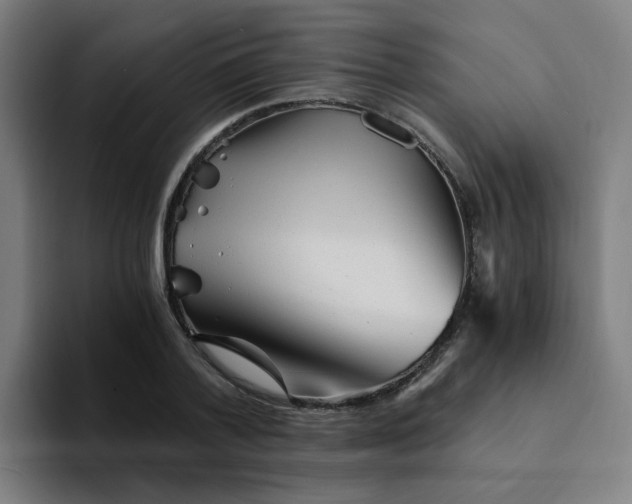 X0000094200788200711161807