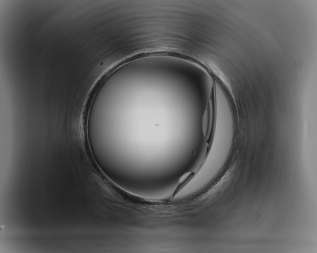 X0000094200789200711161807