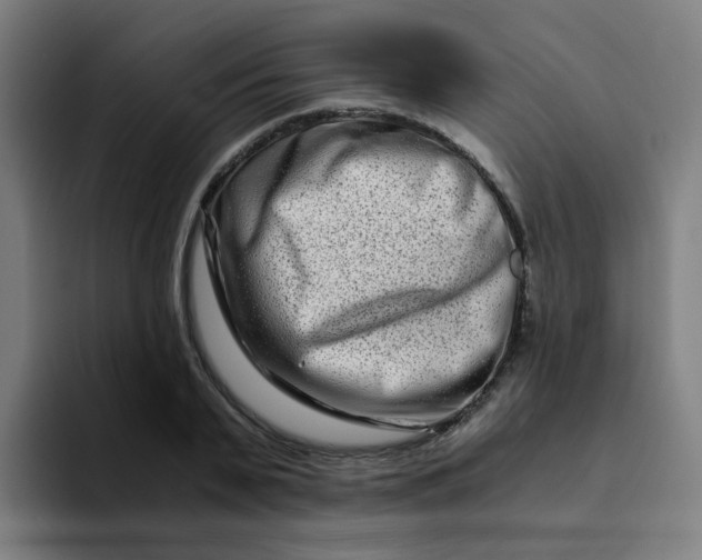 X0000094200791200711161807