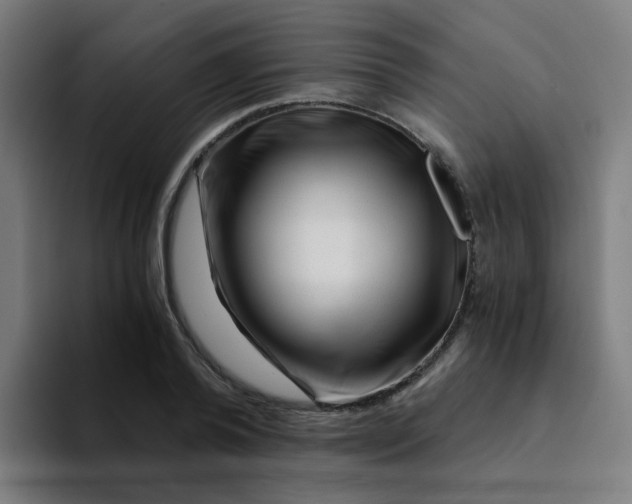 X0000094200792200711161807