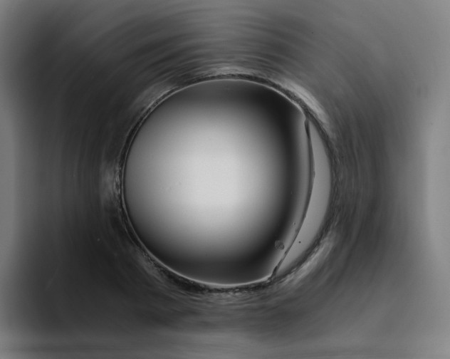 X0000094200793200711161807