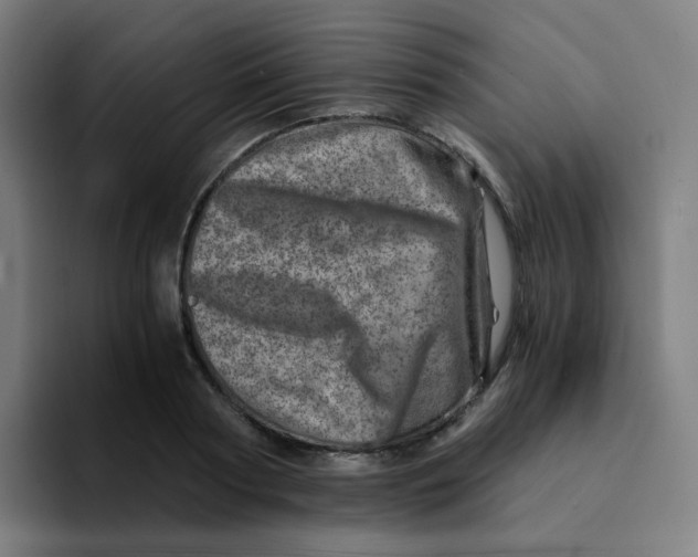 X0000094200794200711161807