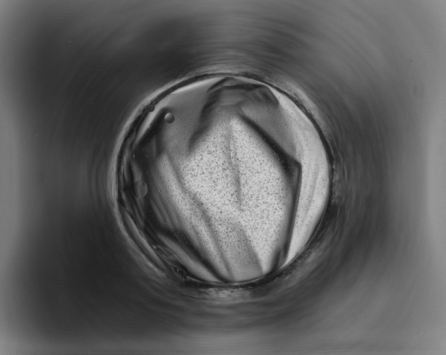 X0000094200795200711161807