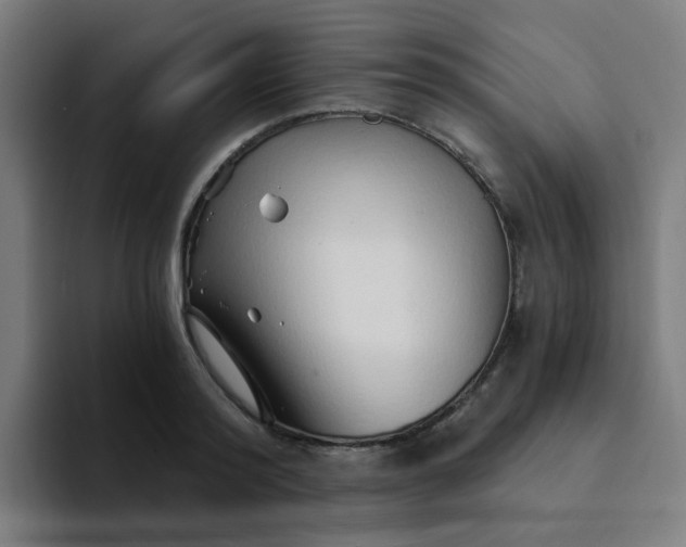 X0000094200796200711161807