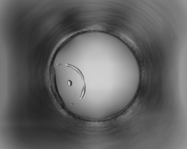 X0000094200800200711161807