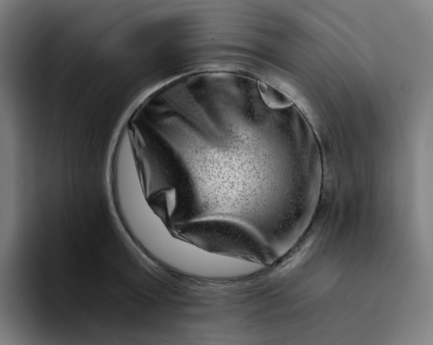 X0000094200803200711161807