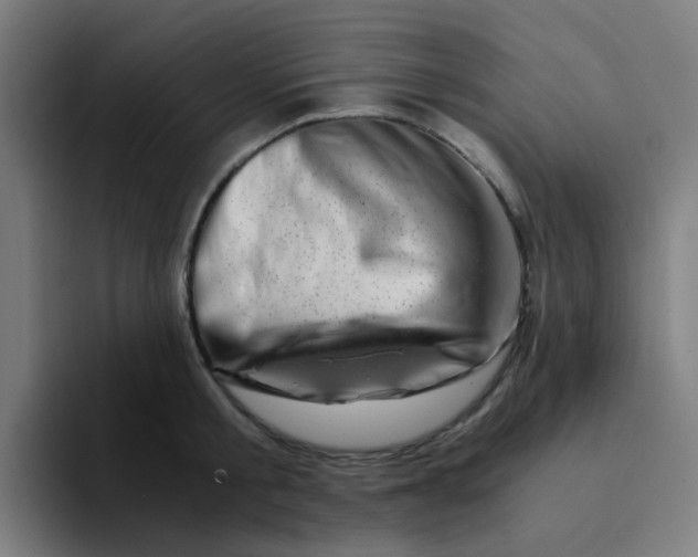 X0000094200805200711161807