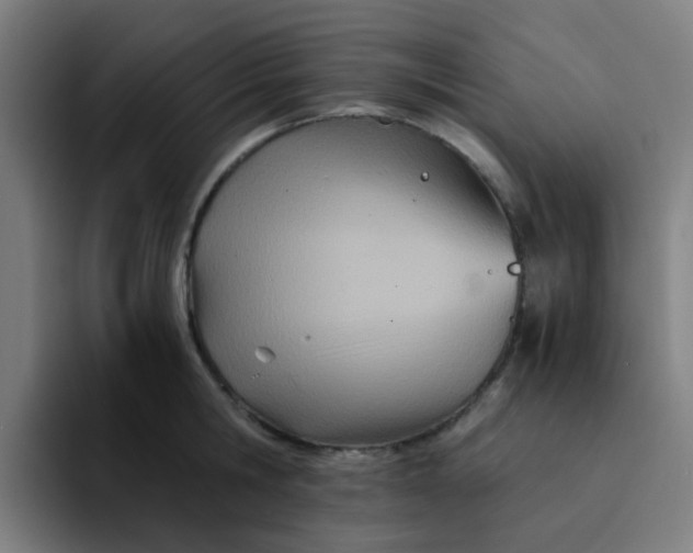 X0000094200806200711161807