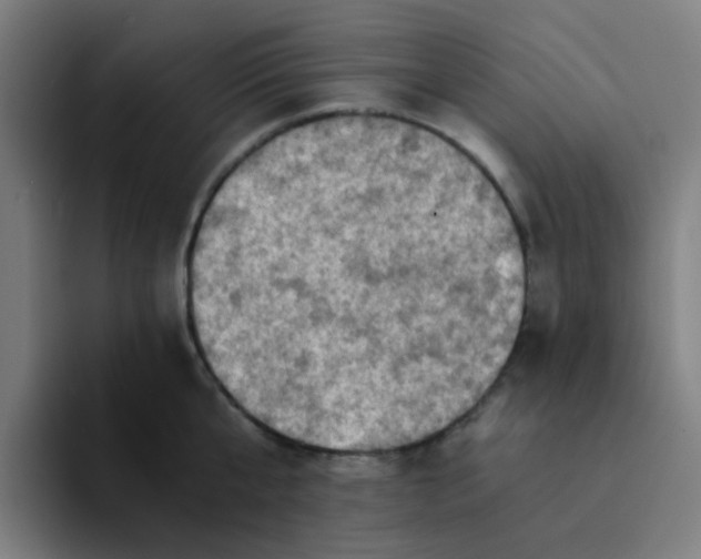 X0000094200807200711161807