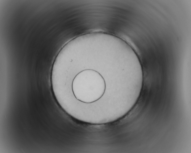 X0000094200810200711161807