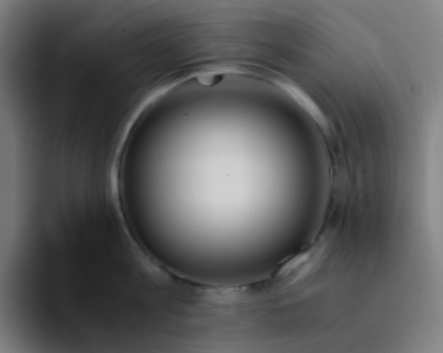 X0000094200813200711161807