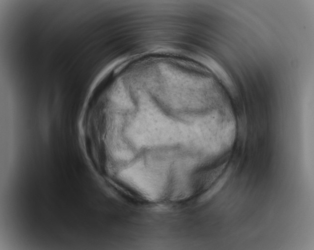 X0000094200814200711161807