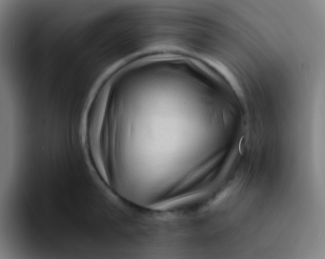 X0000094200815200711161807