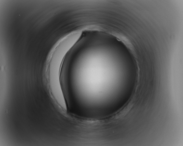 X0000094200816200711161807