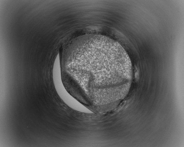 X0000094200819200711161806