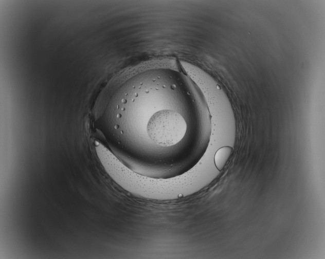 X0000094200820200711161806