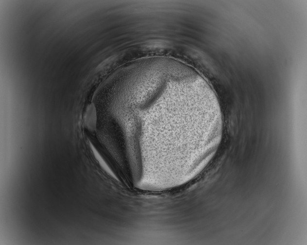 X0000094200821200711161806