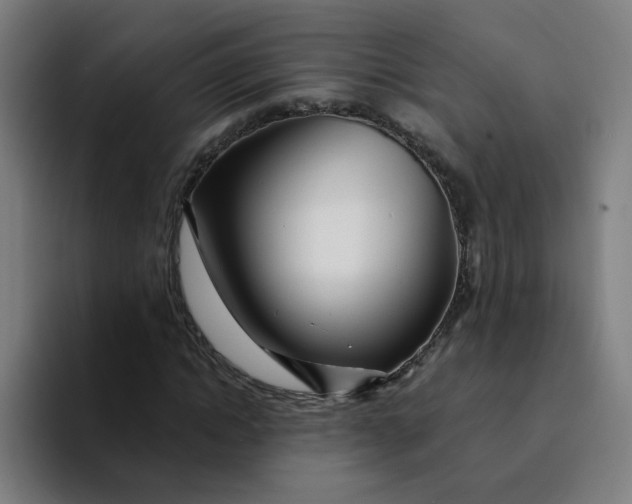 X0000094200822200711161806