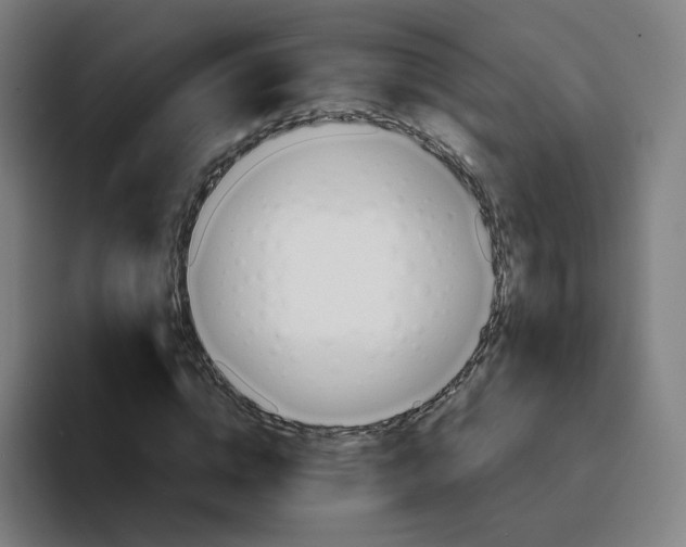 X0000094200824200711161806