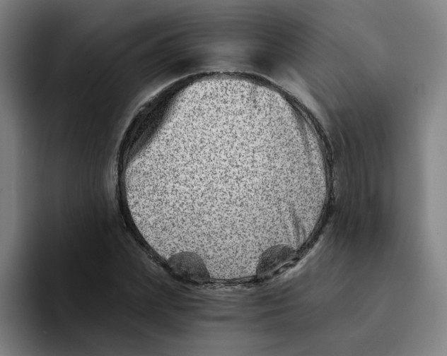 X0000094200831200711161806