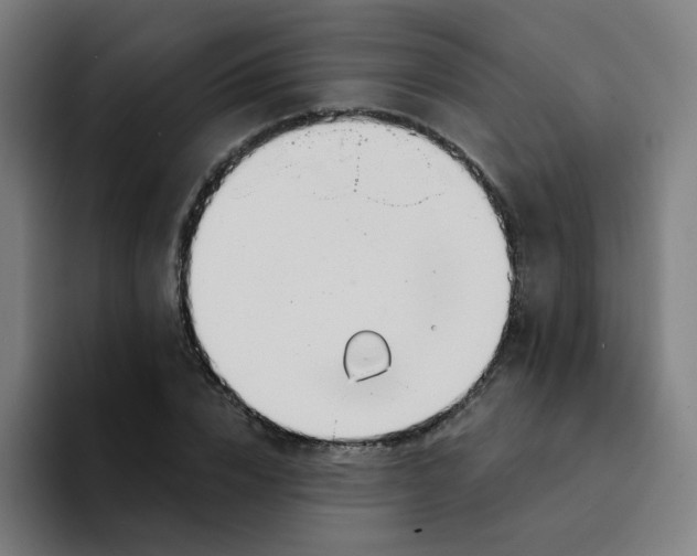 X0000094200832200711161806