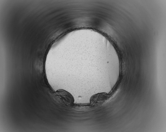 X0000094200833200711161806