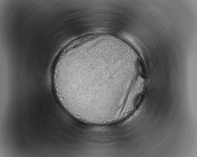 X0000094200835200711161806