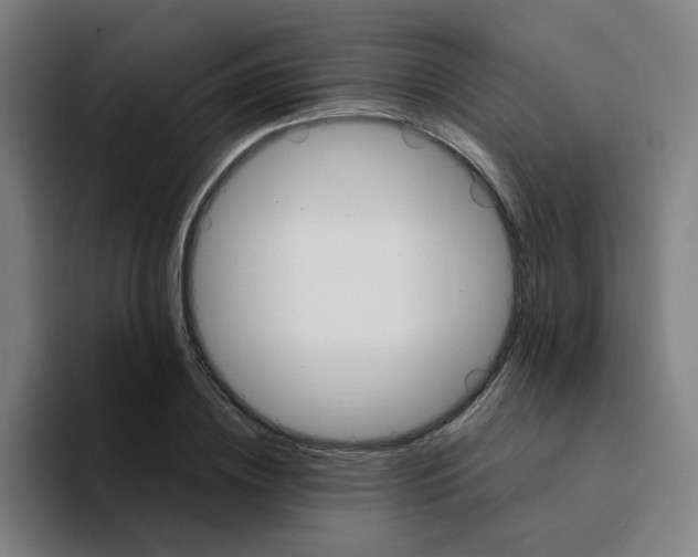 X0000094200836200711161806