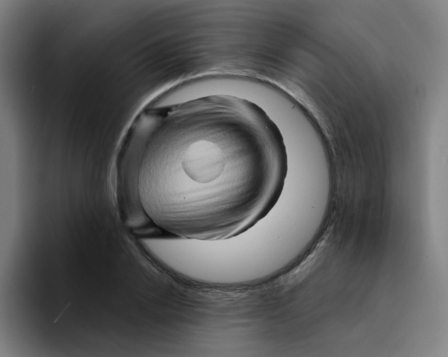 X0000094200838200711161806