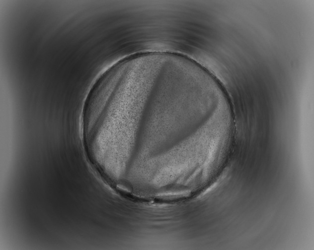 X0000094200839200711161806