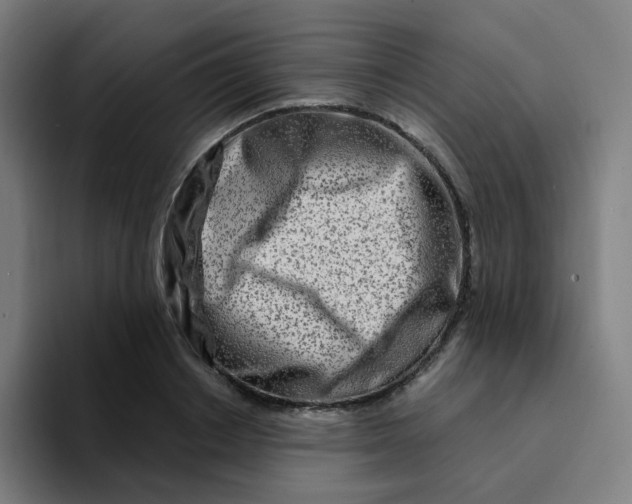 X0000094200842200711161806