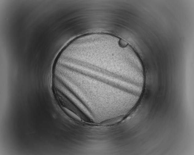 X0000094200844200711161807