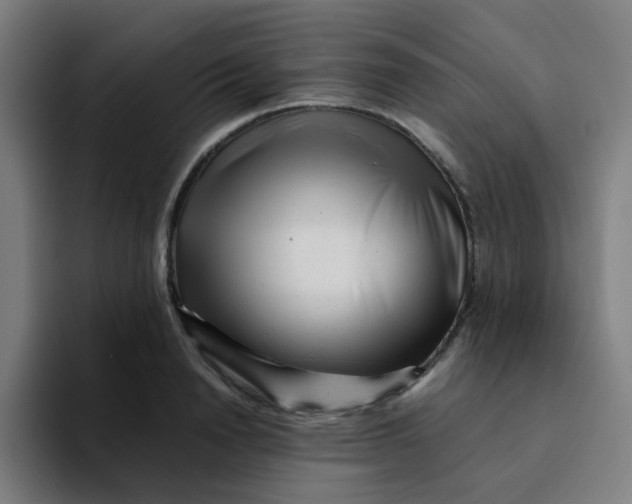 X0000094200846200711161807