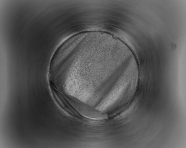 X0000094200847200711161807