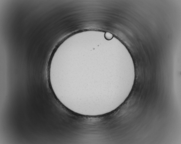 X0000094200848200711161807