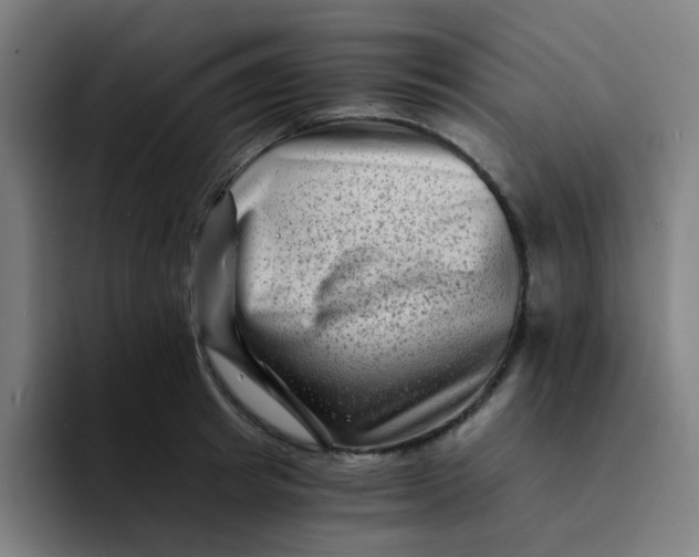 X0000094200849200711161807