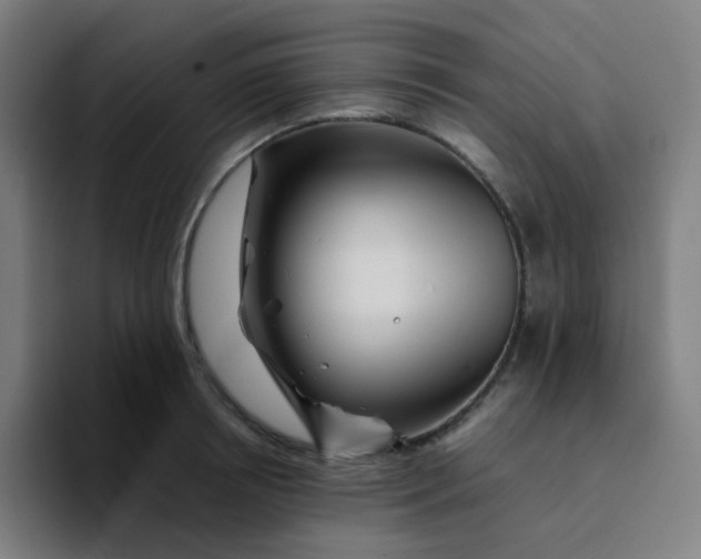 X0000094200850200711161807