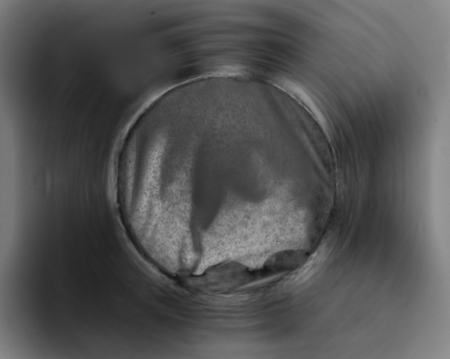 X0000094200851200711161807