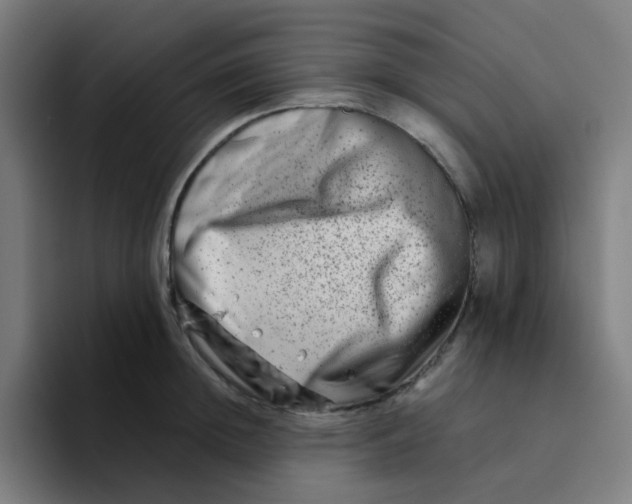 X0000094200852200711161807