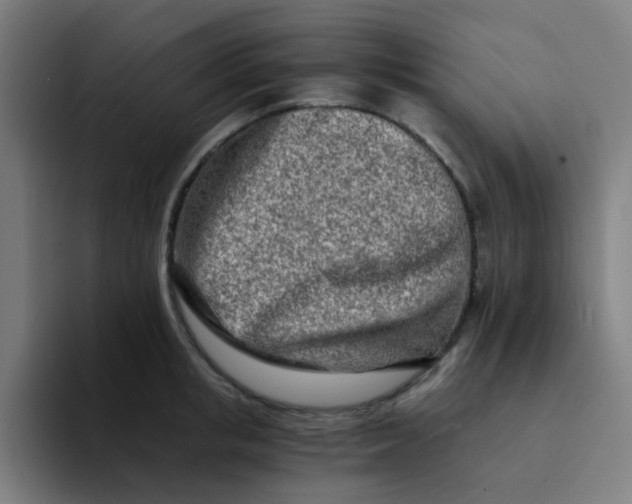 X0000094200853200711161807