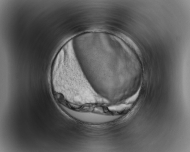 X0000094200855200711161807