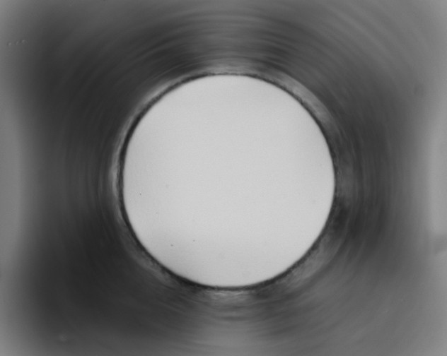 X0000094200856200711161807