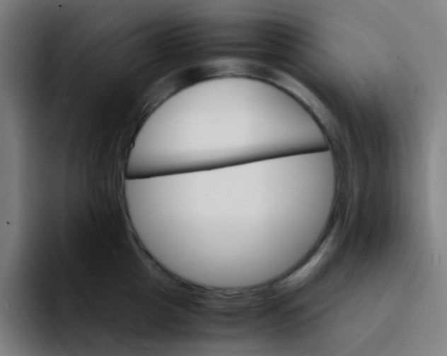 X0000094200857200711161807