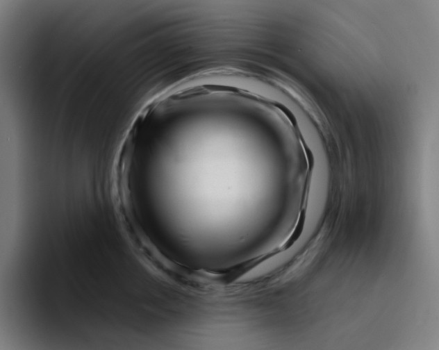 X0000094200858200711161807