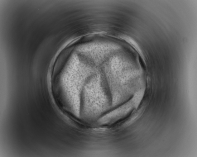 X0000094200859200711161807