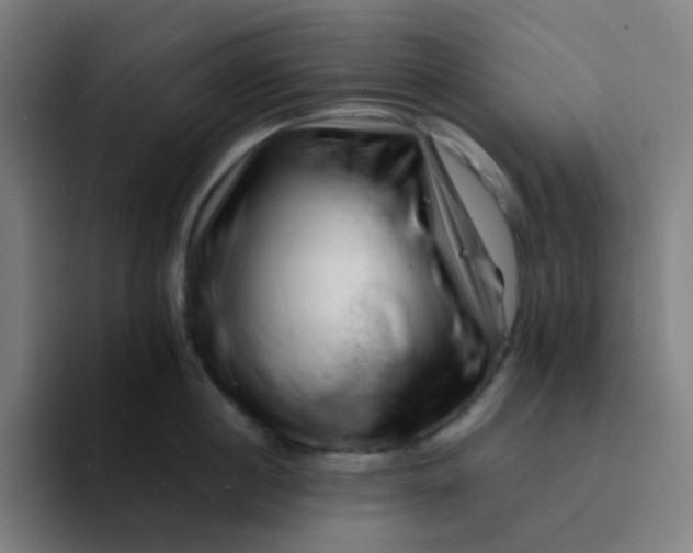 X0000094200860200711161807