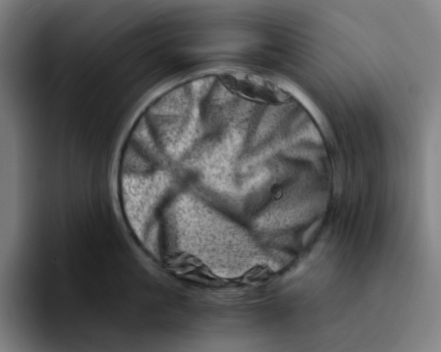 X0000094200861200711161807