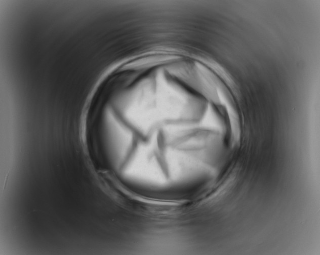 X0000094200862200711161807