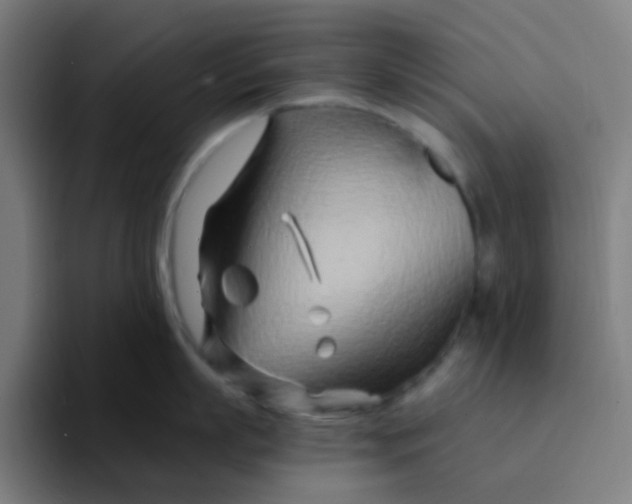 X0000094200863200711161807