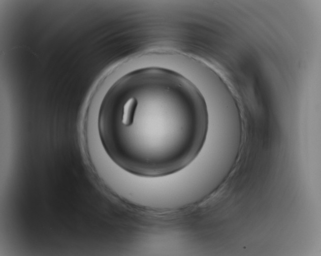 X0000094200864200711161807